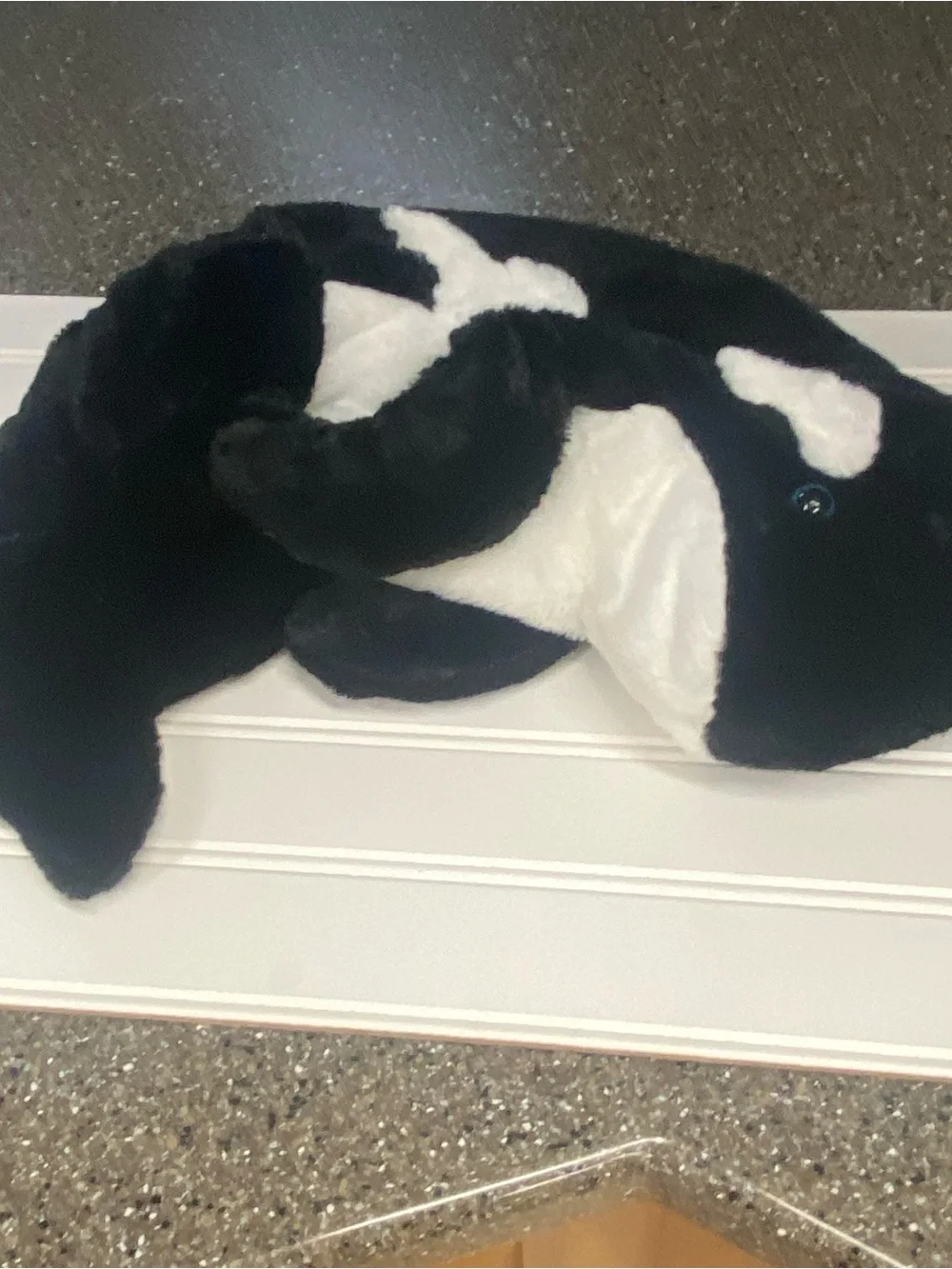 The bear factory soft black
